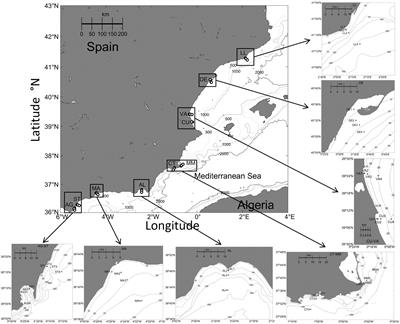 Zooplankton Biomass Depletion Event Reveals the Importance of Small Pelagic Fish Top-Down Control in the Western Mediterranean Coastal Waters